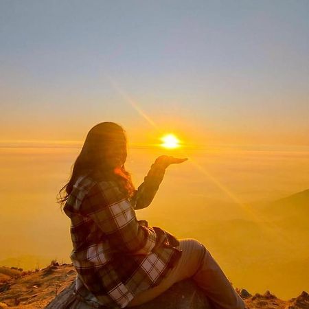 Triund Trek Hotell Dharamshala Eksteriør bilde
